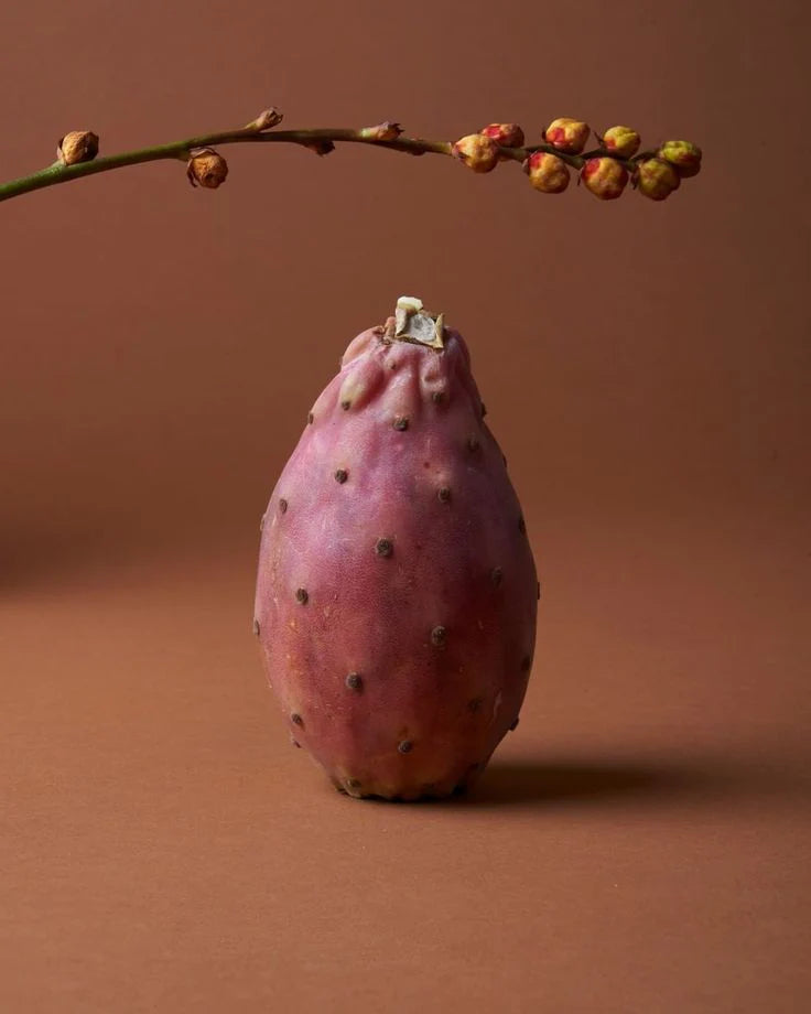 Organic Prickly Pear Seed Oil